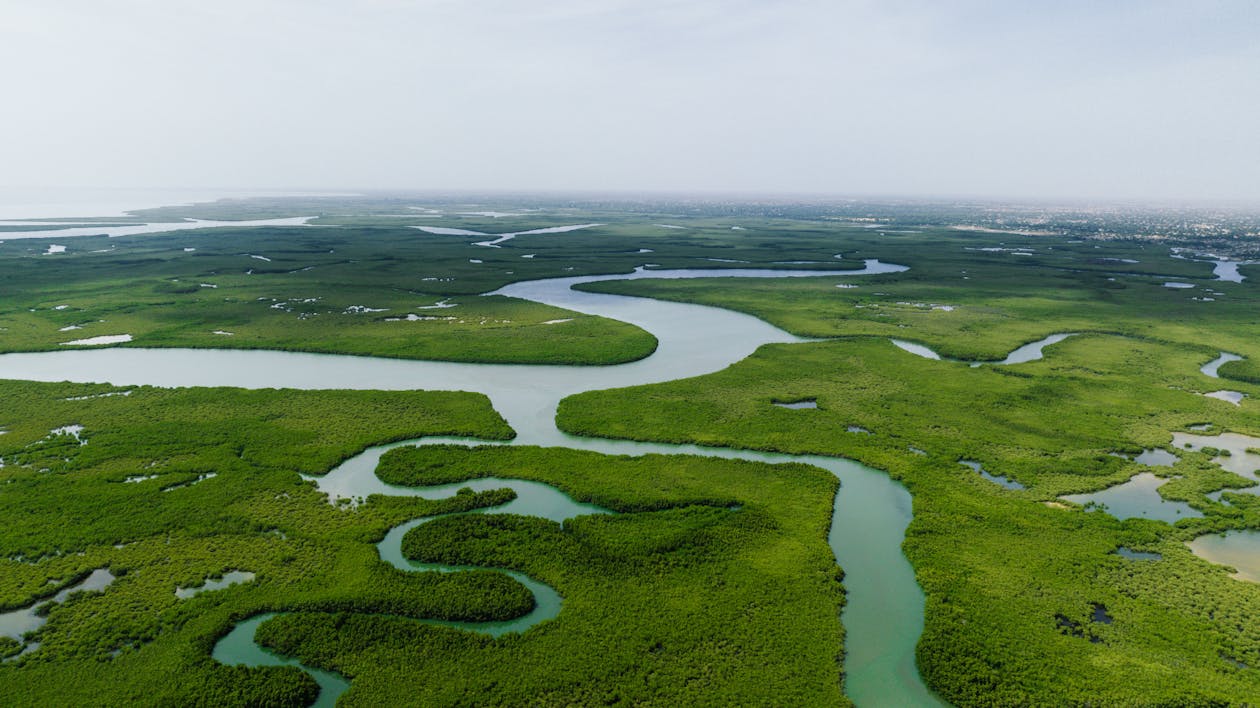 Vista aerea de rios serpenteantes en la selva amazonica ecuatoriana